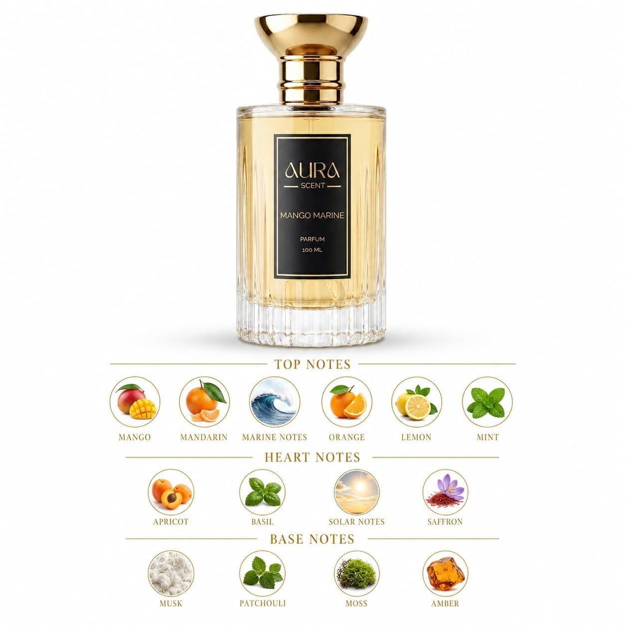 mango marine mango marine